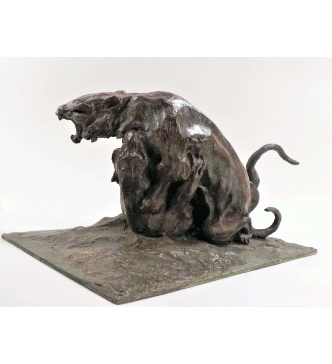 Guido Righetti - (1875-1958), Bronze+ Fighting Tigers N°1-photo-2
