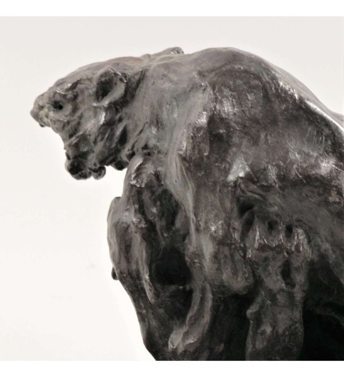 Guido Righetti - (1875-1958), Bronze+ Fighting Tigers N°1-photo-2