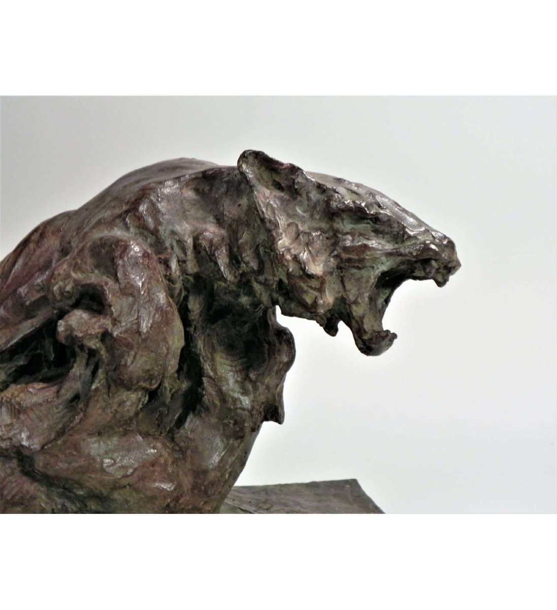 Guido Righetti - (1875-1958), Bronze+ Fighting Tigers N°1-photo-3