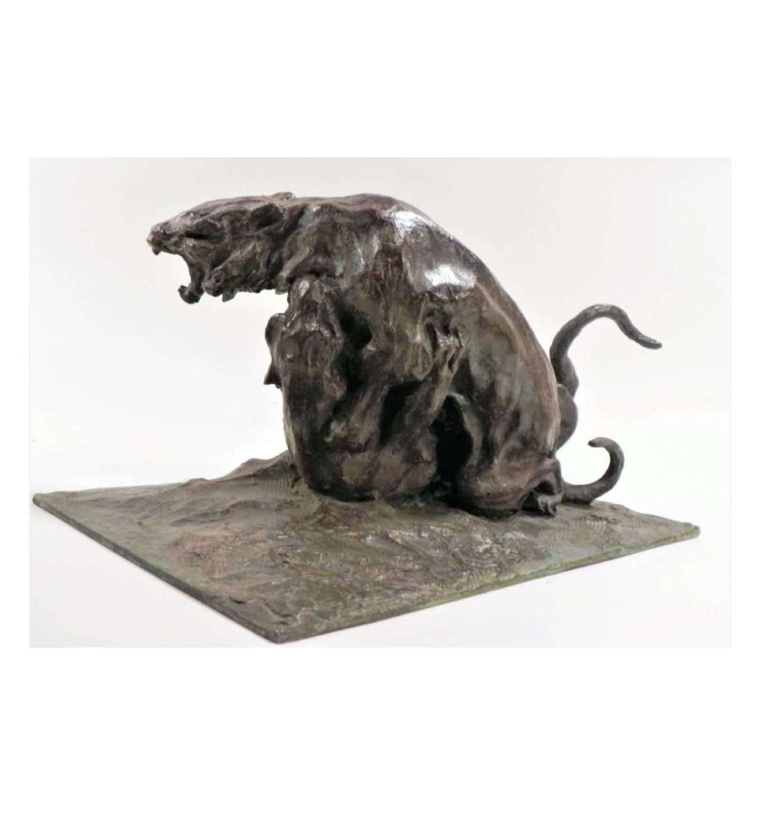 Guido Righetti - (1875-1958), Bronze+ Fighting Tigers N°1