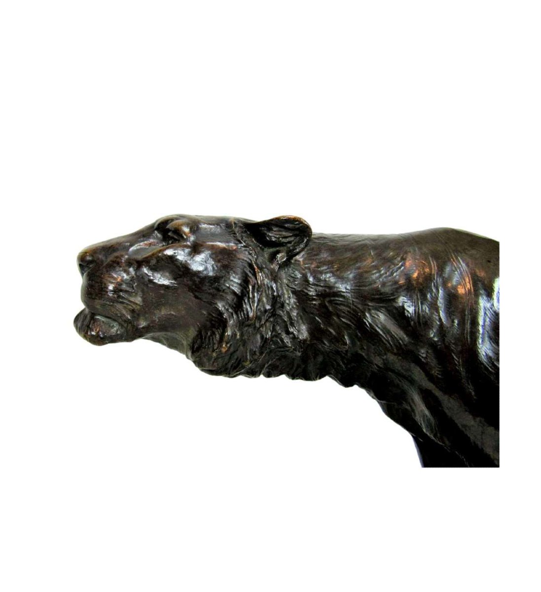 Georges Gardet — (1863-1939)+ Bronze Cast, Panther On The Lookout-photo-2