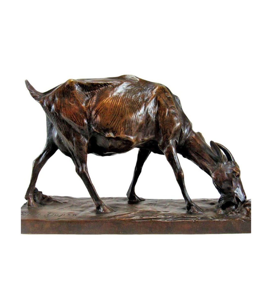 Josuë Dupon — 1864-1935, Bronze + Chèvre et Lapin