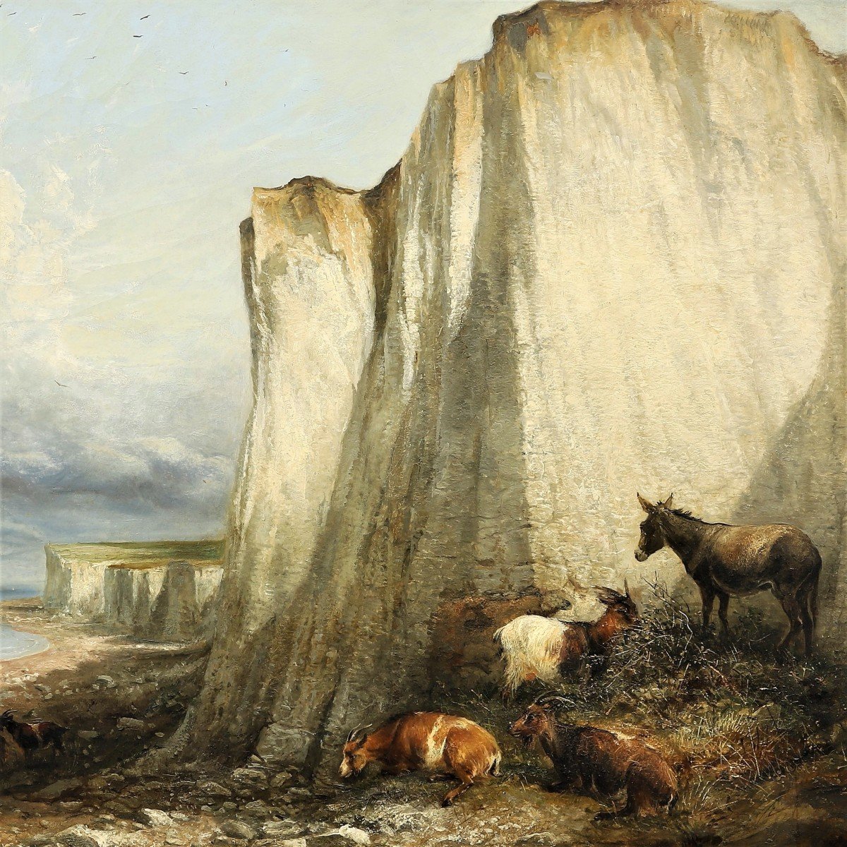 Cattle Near The Cliffs Kent - T. S. Cooper