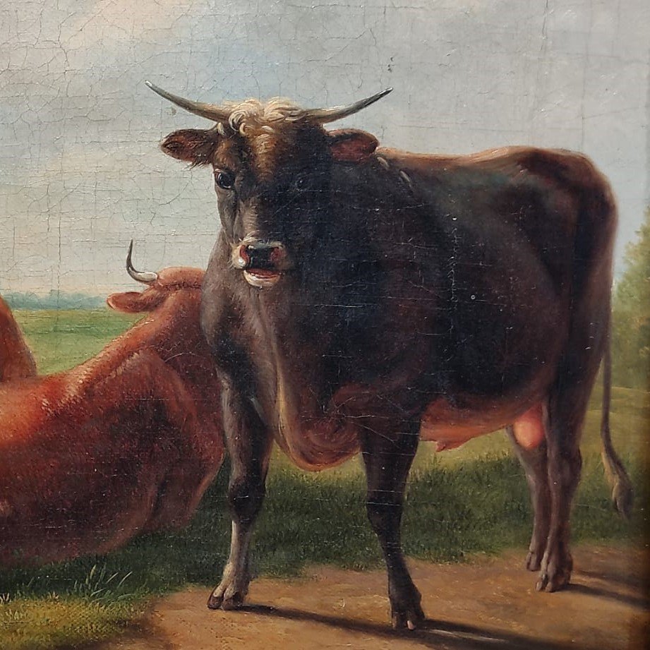 Vaches Dans Le Pré E.Verboeckhoven-photo-1