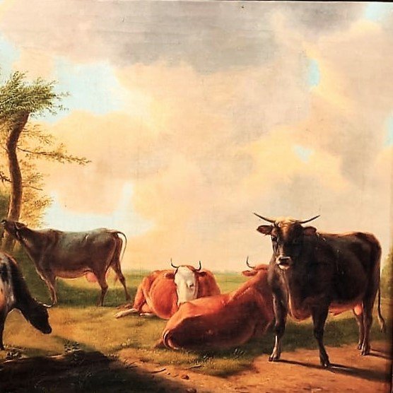 Cows In The Meadow By E. Verboeckhoven