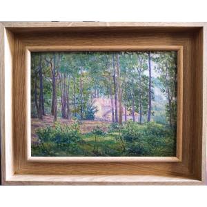 Bois près de Meudon (Versailles), Huile sur panneau par Fritz Van Loo (1871–1957)