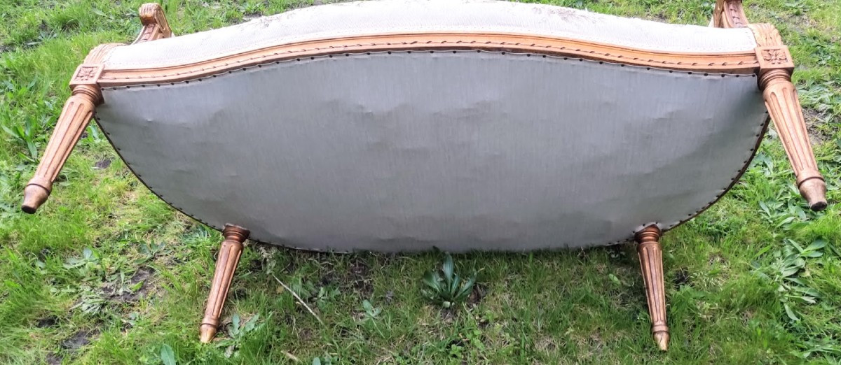 Salon  Bois  Doré  Style  Louis  XVI  Banquette  et  Deux  Fauteuils -photo-4