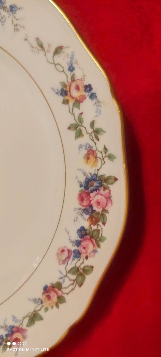 Limoges  Chastagner  Service  Vaisselle  Floral  42  Pièces-photo-6