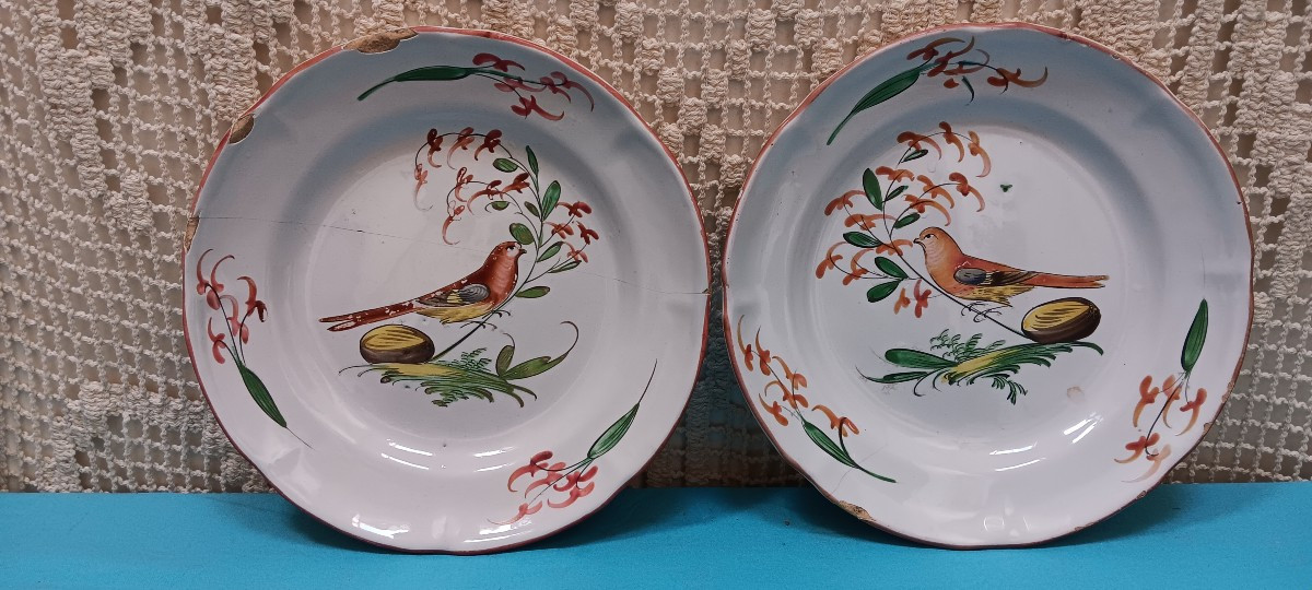 Paire d'assiettes à l'oiseau de Toulouse