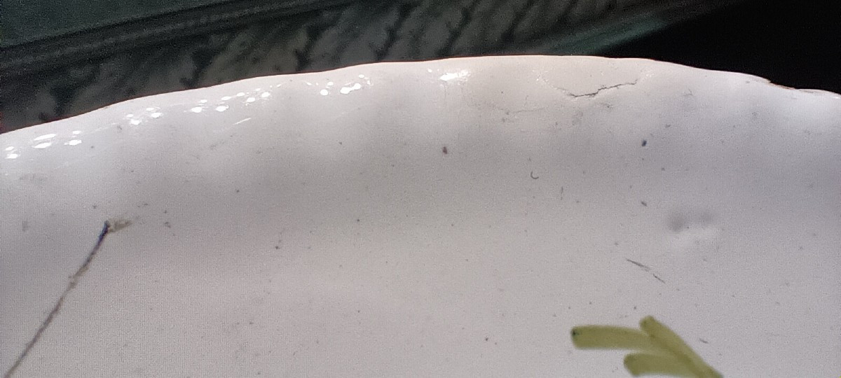 Plate Of Rambervillers (vosges) With Rooster - Late 18th Century-photo-1