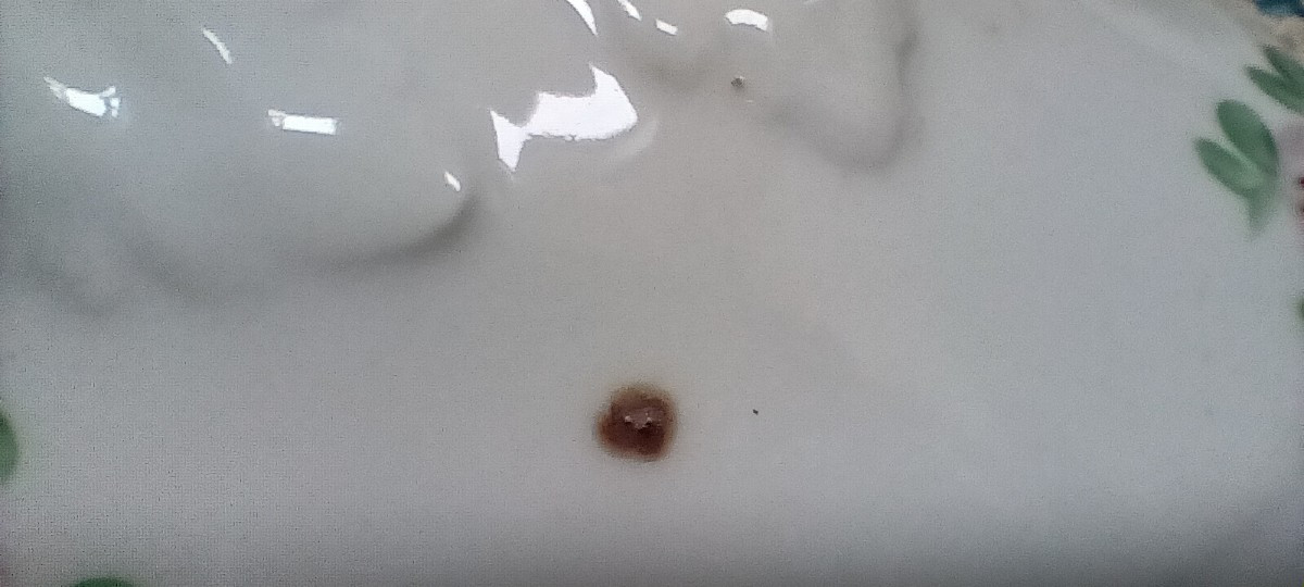 Soupière en porcelaine de Bayeux - XIX siècle-photo-8