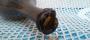 1801021-alb-6a68c6b2e1110.jpg
