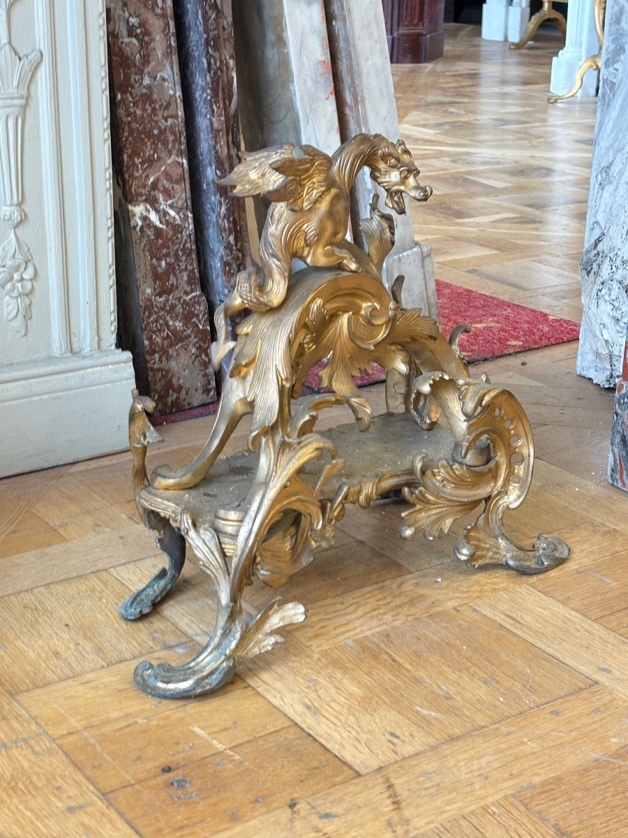 Grande Paire de chenets en bronze doré représentant des Griffons datant du XIXᵉ siècle.-photo-2