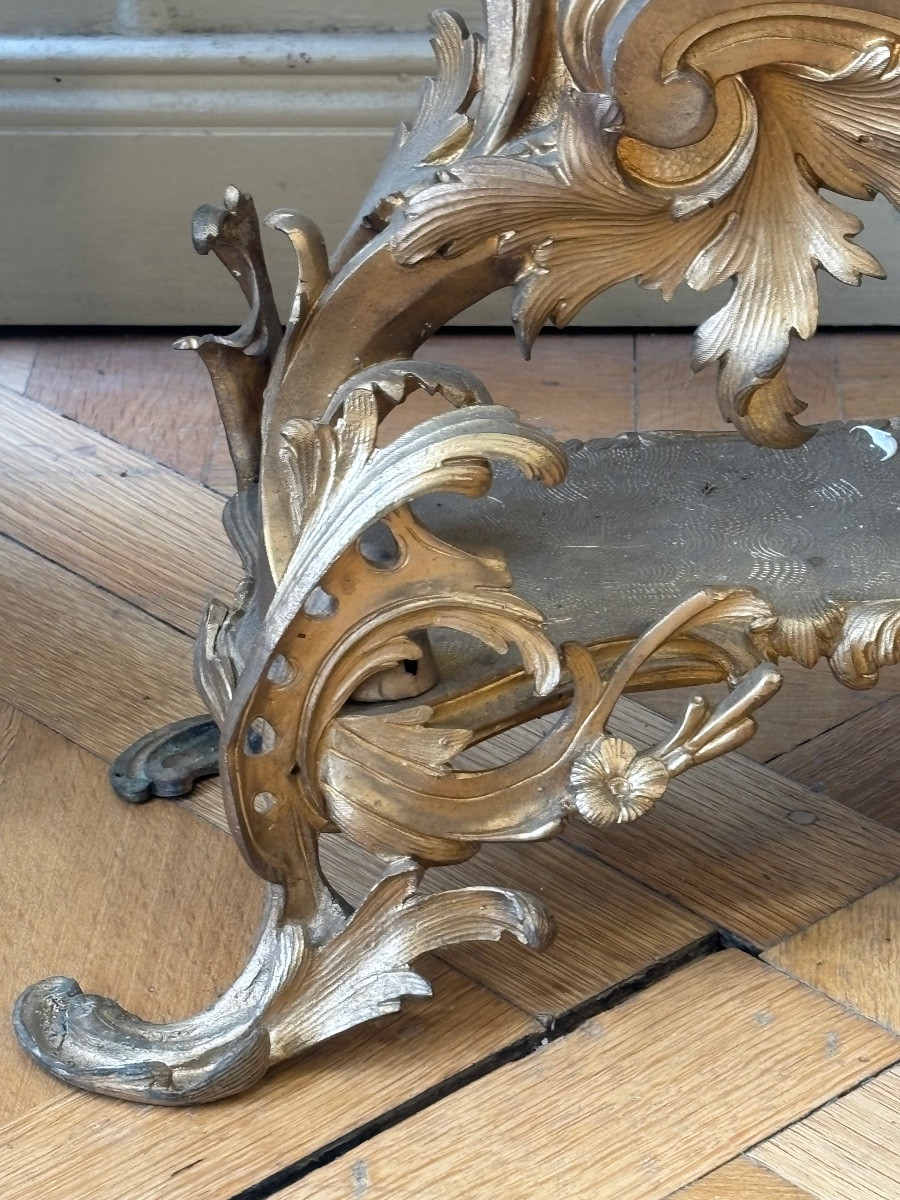 Grande Paire de chenets en bronze doré représentant des Griffons datant du XIXᵉ siècle.-photo-3