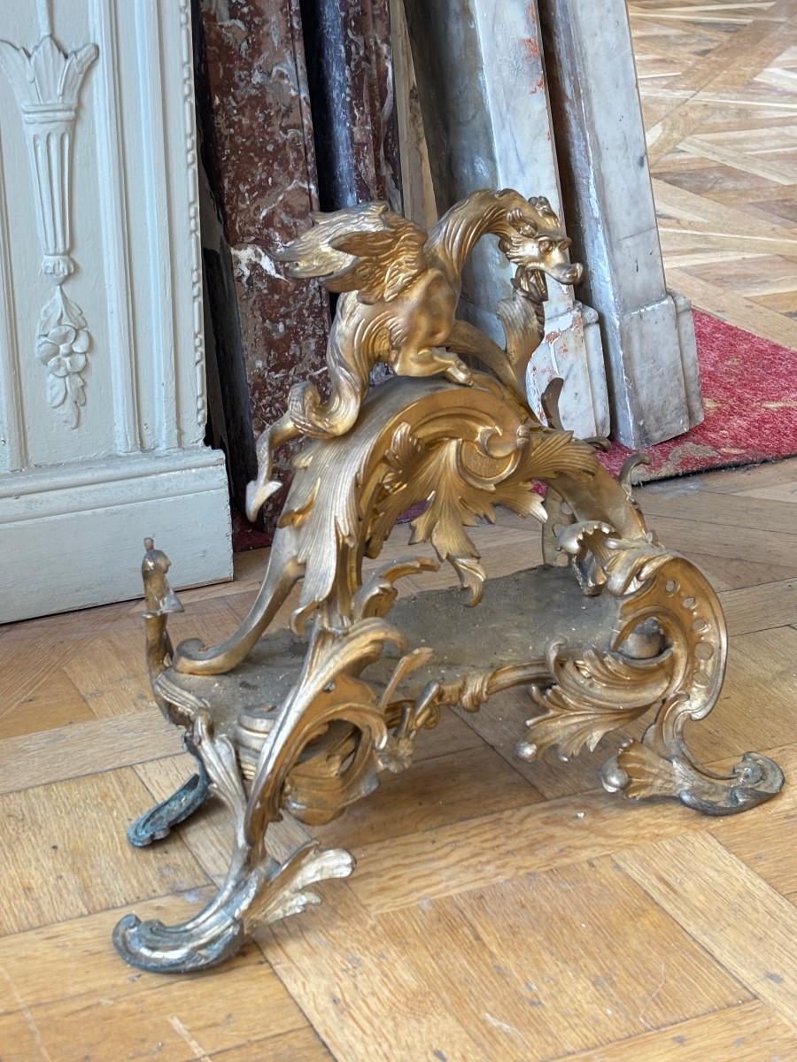 Grande Paire de chenets en bronze doré représentant des Griffons datant du XIXᵉ siècle.-photo-1