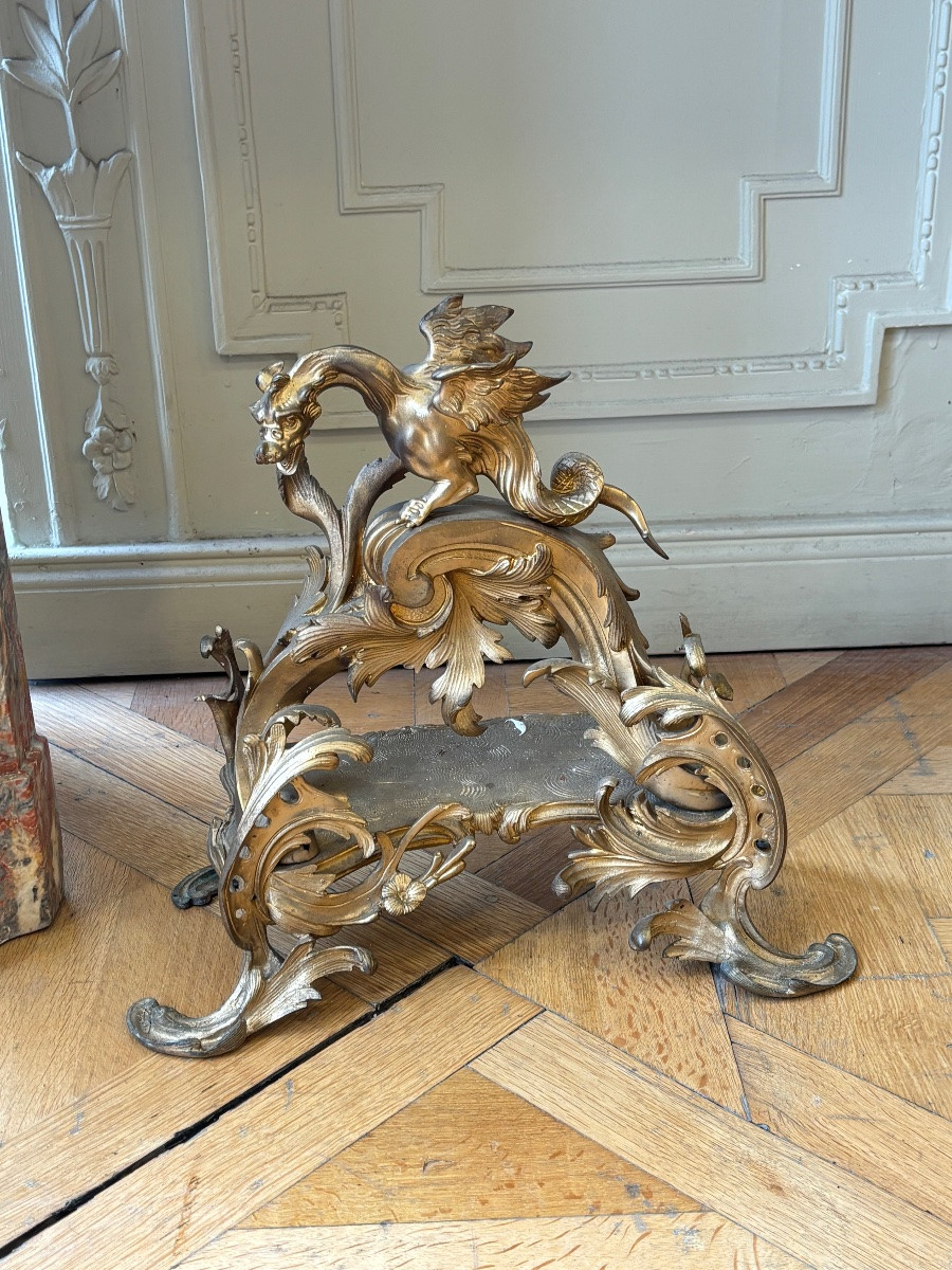 Grande Paire de chenets en bronze doré représentant des Griffons datant du XIXᵉ siècle.-photo-2