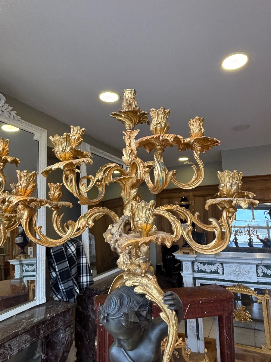 Large Pair Of Rococo Style Bronze Candelabra After Clodion, Late 19th Century -photo-4
