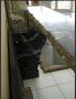 1173462-alb-64c61a9cb1ddb.jpg