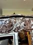 1809933-6a86afddec276.jpg