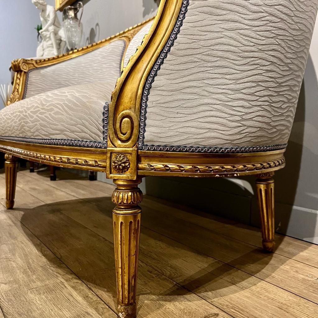 Trash Sofa With Medallion Louis XVI Style And XIX Ith Period In Golden Wood-photo-4