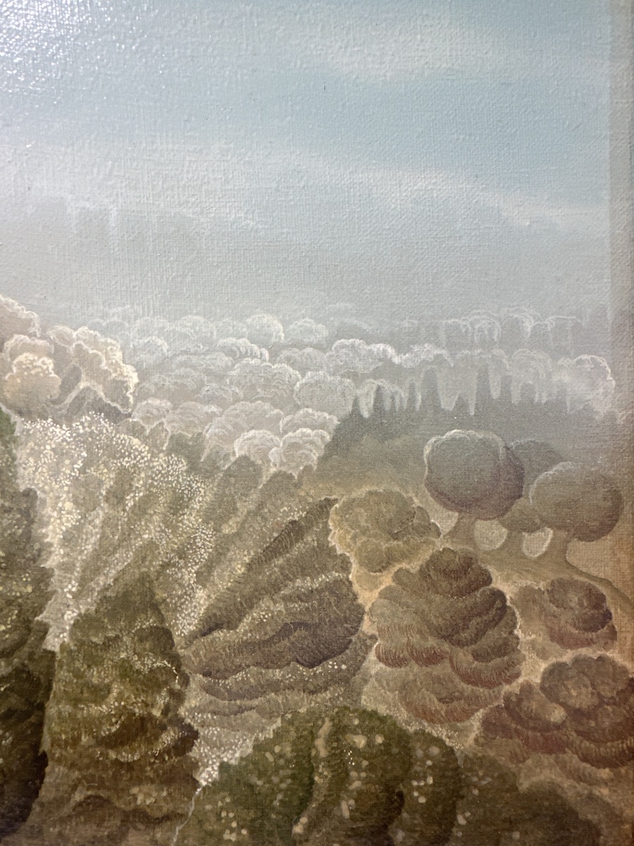 Bernard Ambielle (1951) Dit Roman Oil On Canvas, Surreal Landscape, Undergrowth, Strasbourg-photo-5