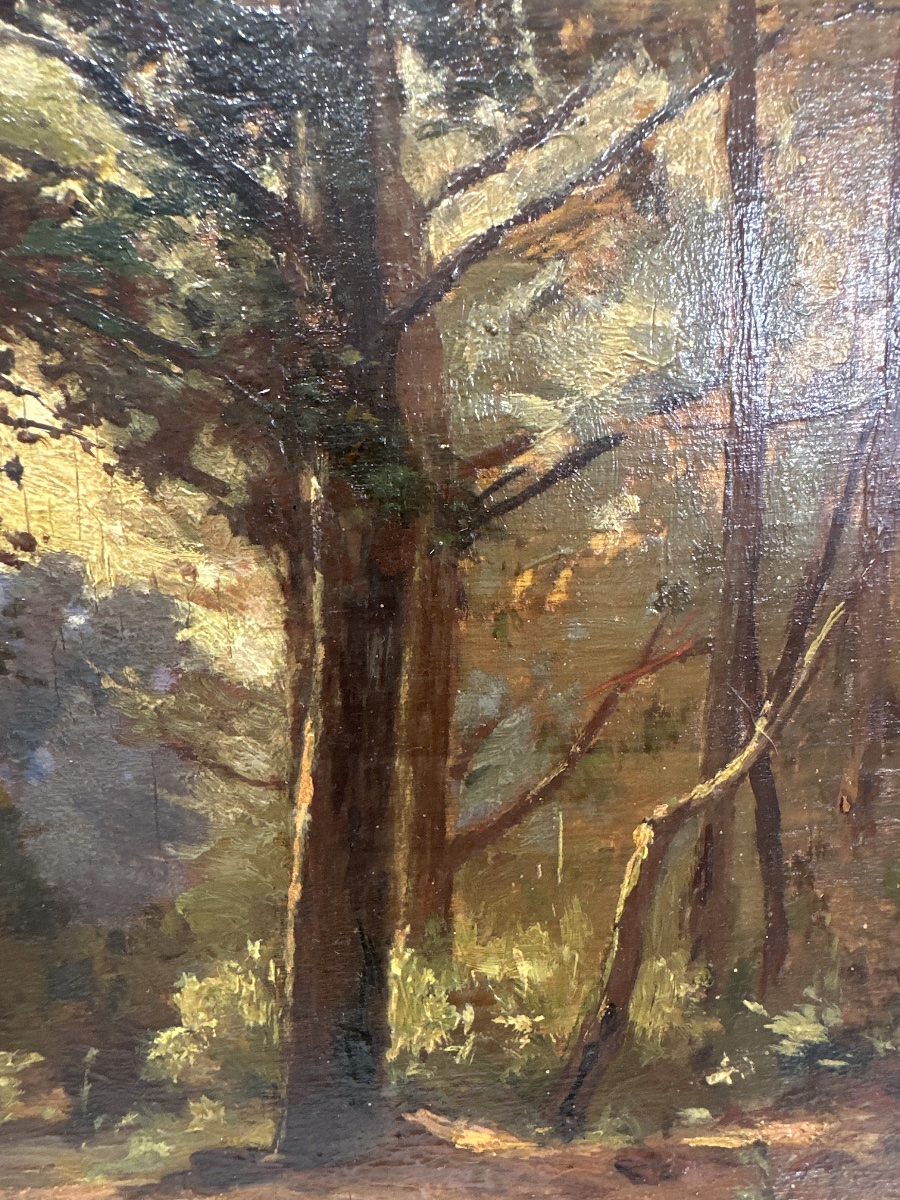 Henri Laurent MOUREN (1844-1926) Clairière forestière - Ecole française XIX/XX e-photo-2