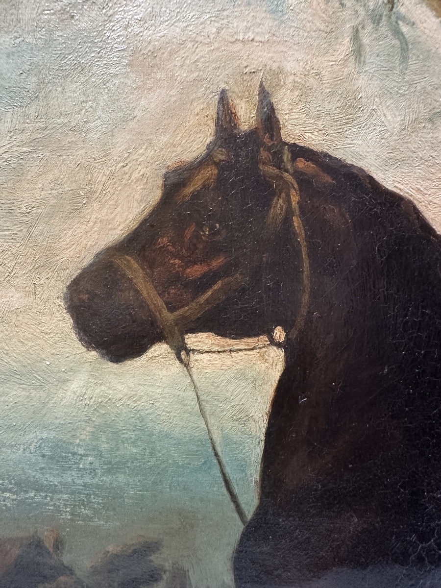 19th-c. School - Bay Horse Tethered Under A Stormy Sky - Oil-photo-4