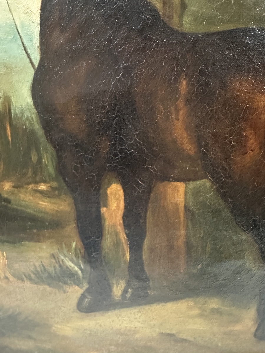 19th-c. School - Bay Horse Tethered Under A Stormy Sky - Oil-photo-3