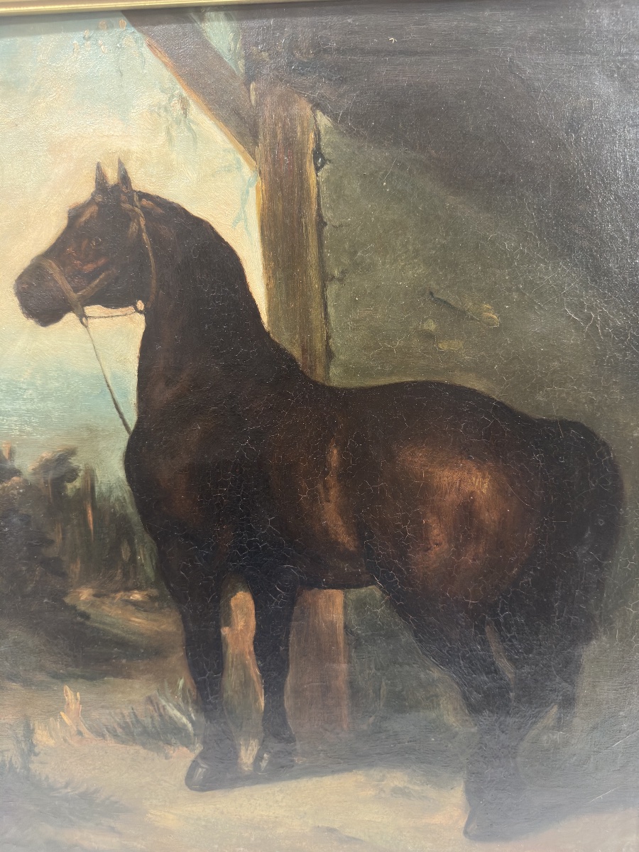 19th-c. School - Bay Horse Tethered Under A Stormy Sky - Oil-photo-7