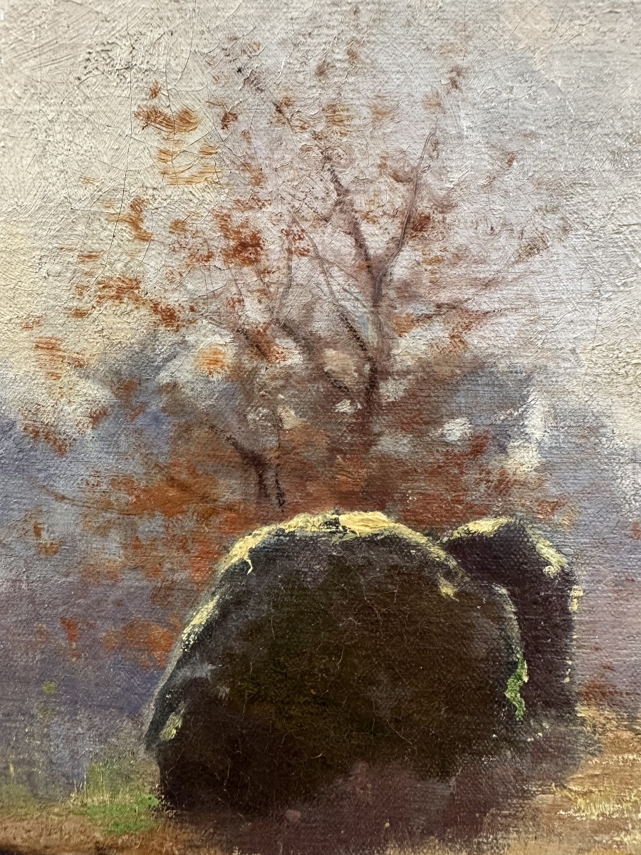Alfred DAN (1852-1926) Sous-bois aux rochers, forêt de Fontainebleau 1894 Barbizon -photo-4