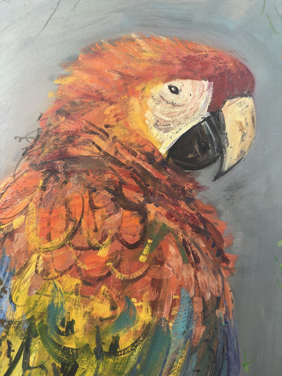 Jacques Birr (1920-2012) - The Great Macaw - Oil On Panel, 1984 Perroquet-photo-5