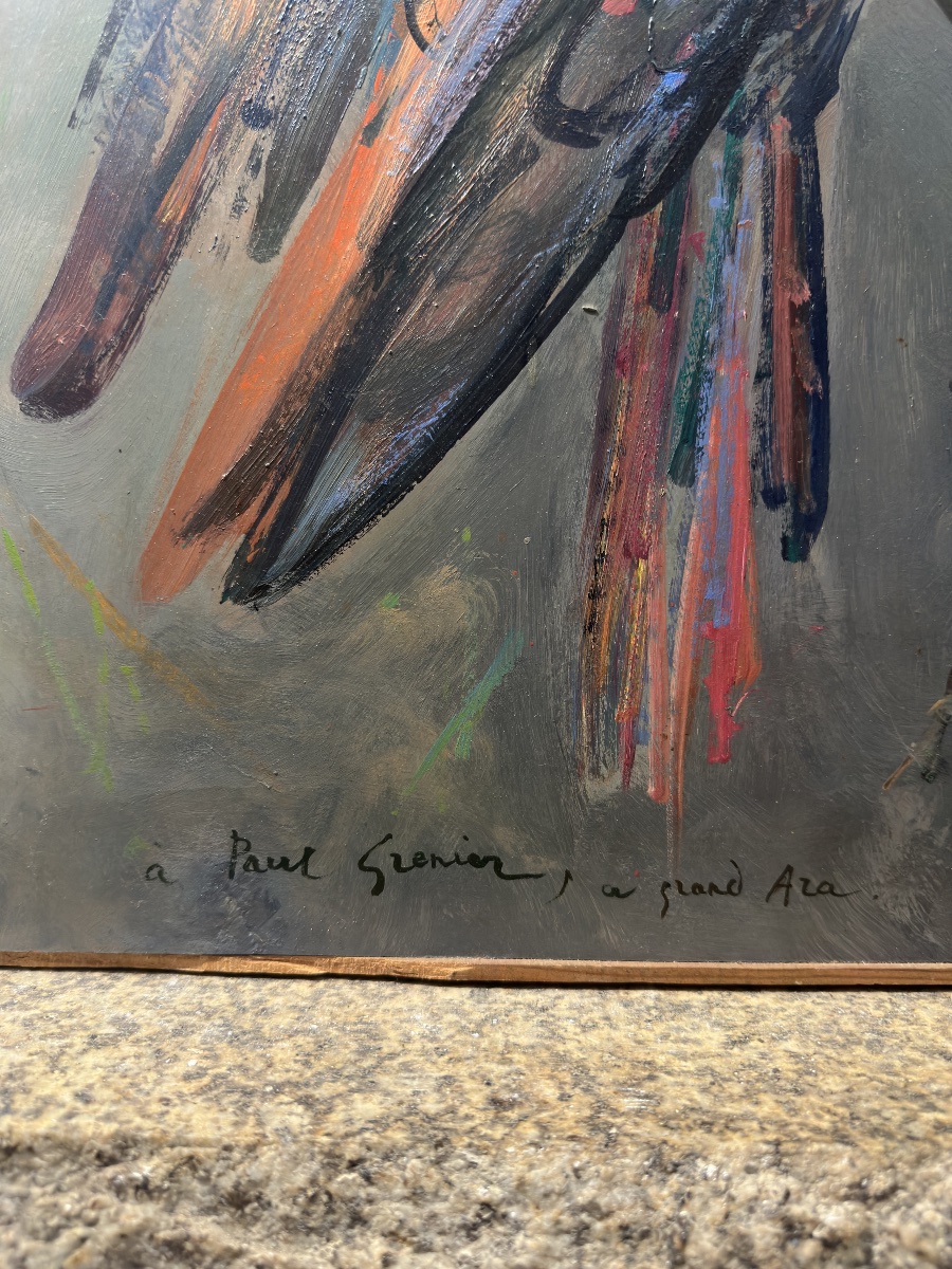 Jacques Birr (1920-2012) - The Great Macaw - Oil On Panel, 1984 Perroquet-photo-6