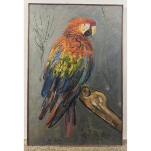 Jacques Birr (1920-2012) - The Great Macaw - Oil On Panel, 1984 Perroquet