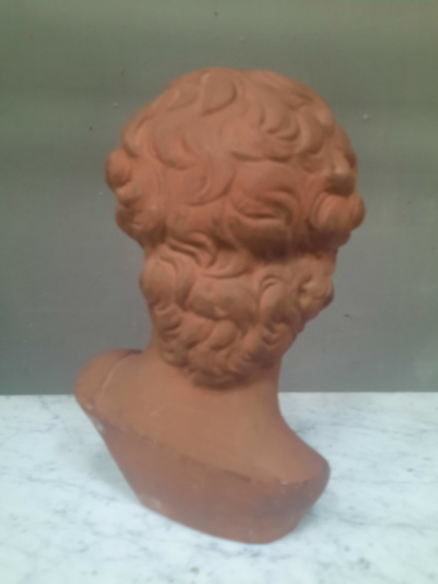 Sculpture de David en buste en terre cuite-photo-1