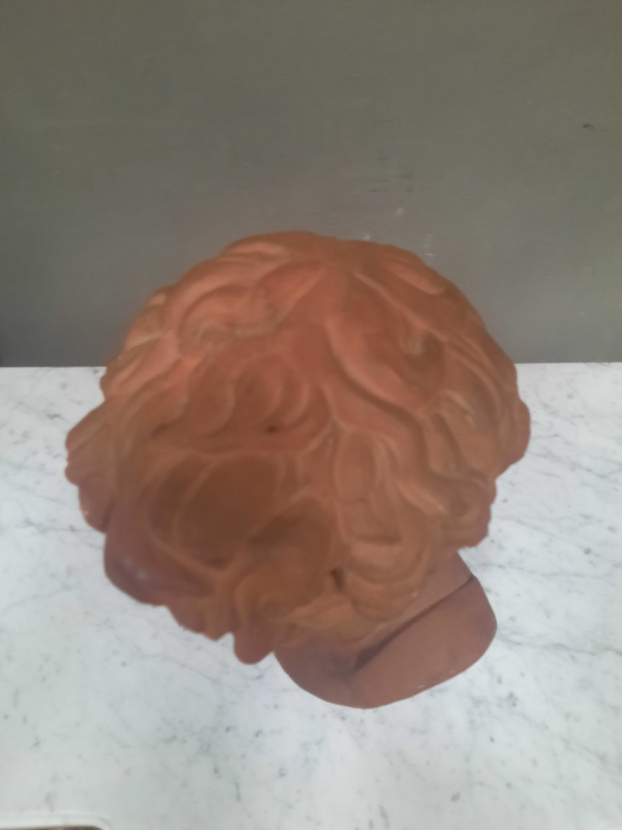 Sculpture de David en buste en terre cuite-photo-3