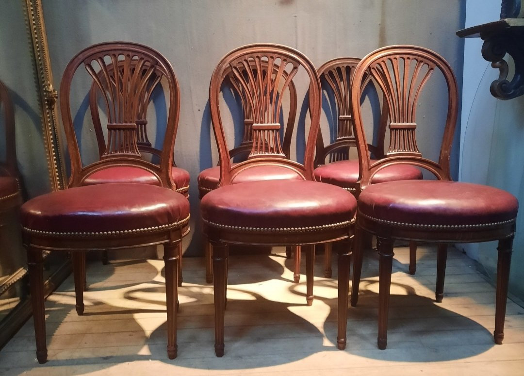 Serie de 6 chaises néo classique  du dix-neuvieme sciecle -photo-2
