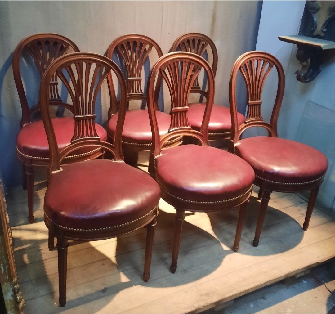Serie de 6 chaises néo classique  du dix-neuvieme sciecle -photo-1