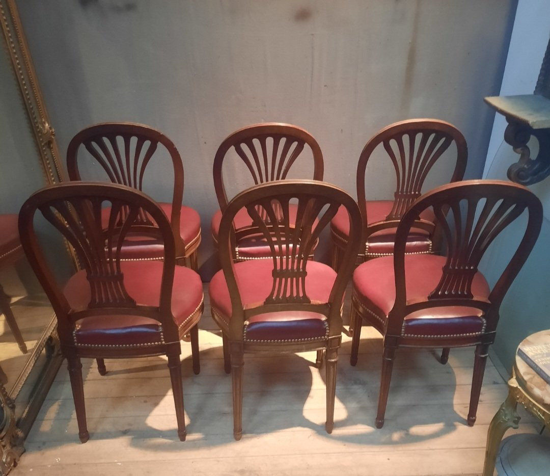 Serie de 6 chaises néo classique  du dix-neuvieme sciecle -photo-3