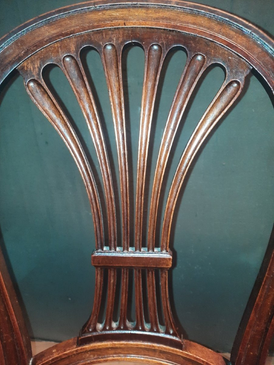 Serie de 6 chaises néo classique  du dix-neuvieme sciecle -photo-8