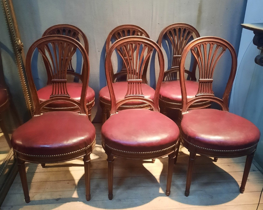 Serie de 6 chaises néo classique  du dix-neuvieme sciecle 
