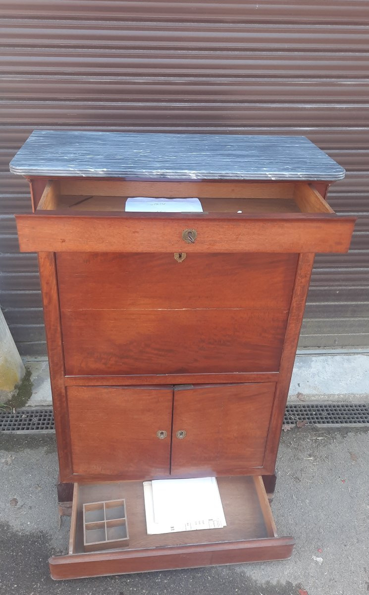 Nineteenth-century Plating Secretary -photo-4