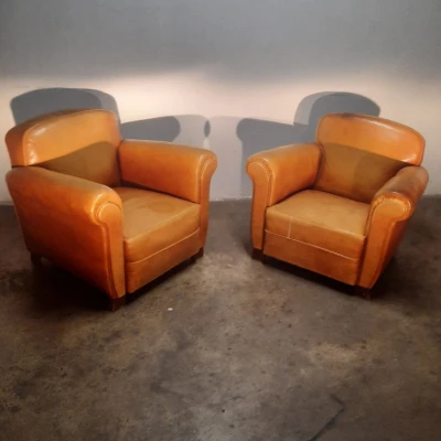 Premiere-Image-1737709