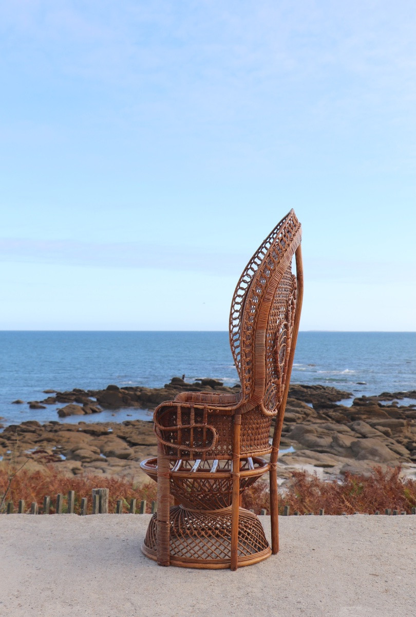 “emmanuelle” Armchair (peacock Chair) In Rattan, 20th Century, French-photo-3