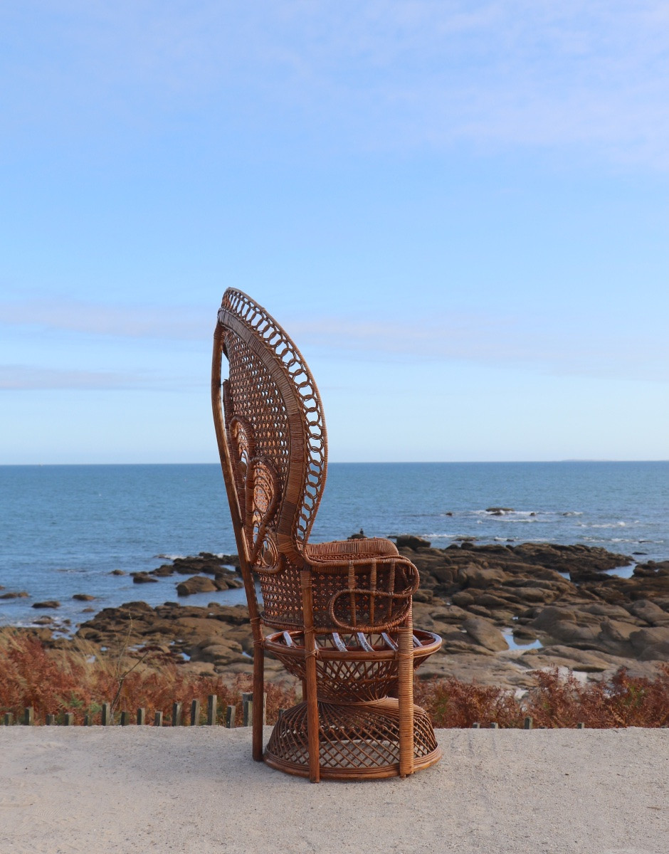 “emmanuelle” Armchair (peacock Chair) In Rattan, 20th Century, French-photo-4
