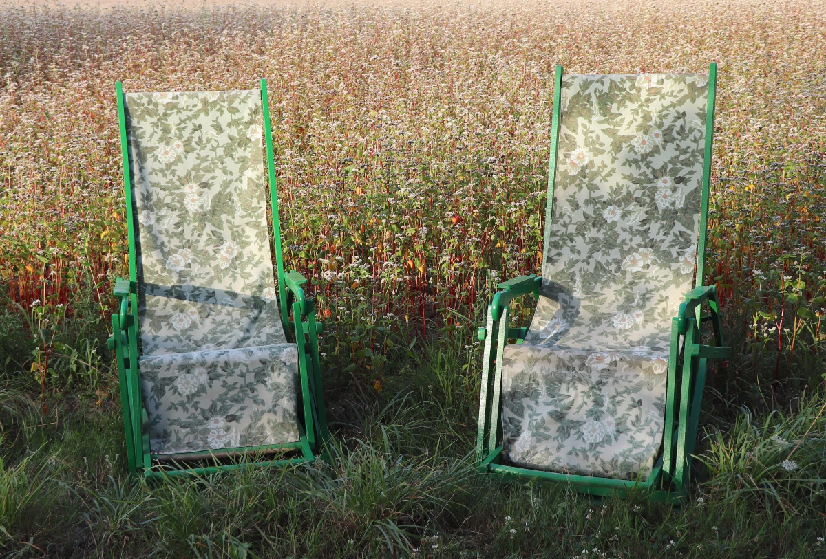 Ensemble de 7 fauteuils de jardin pliants  chiliennes  XXᵉ siècle-photo-4