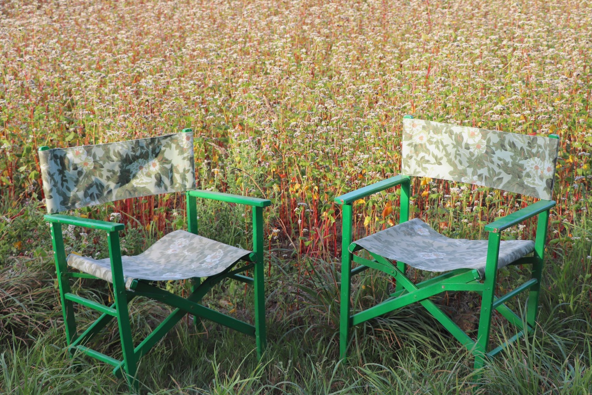 Ensemble de 7 fauteuils de jardin pliants  chiliennes  XXᵉ siècle-photo-2