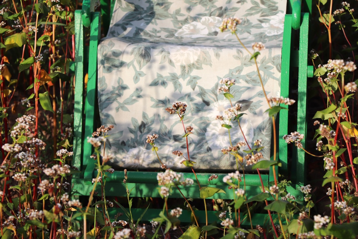Ensemble de 7 fauteuils de jardin pliants  chiliennes  XXᵉ siècle-photo-3