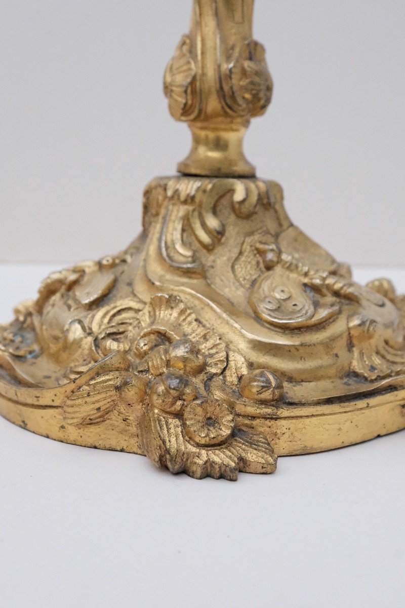 Pair Of Louis XV Rocaille Style Candlesticks In Gilt Bronze With Insect Decor, France 19th Century -photo-6