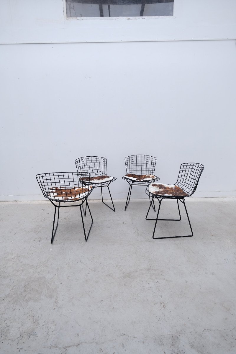 Ensemble de 4 chaises de Harry BERTOÏA pour KNOLL, 1960-photo-5
