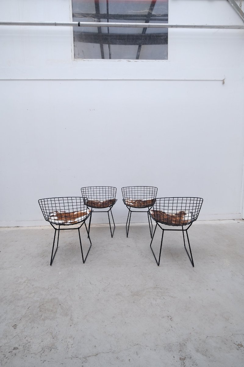 Ensemble de 4 chaises de Harry BERTOÏA pour KNOLL, 1960-photo-6
